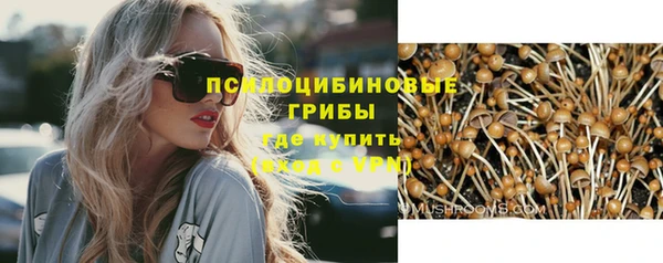дурь Алзамай