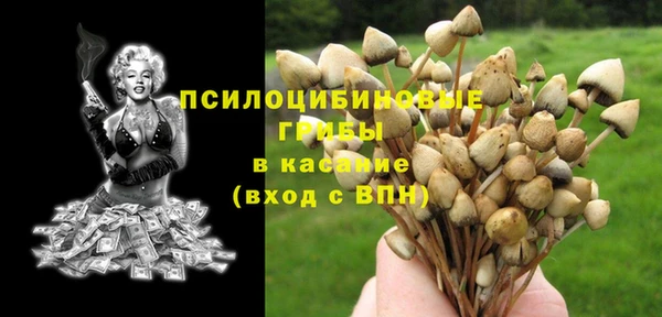 синтетический гашиш Алексеевка