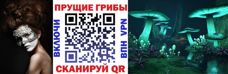 кракен маркетплейс  Красноуральск  Галлюциногенные грибы Psilocybine cubensis 